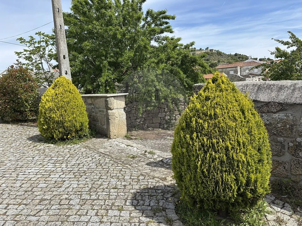 Moradia T4 para Venda em Numão Foto 1