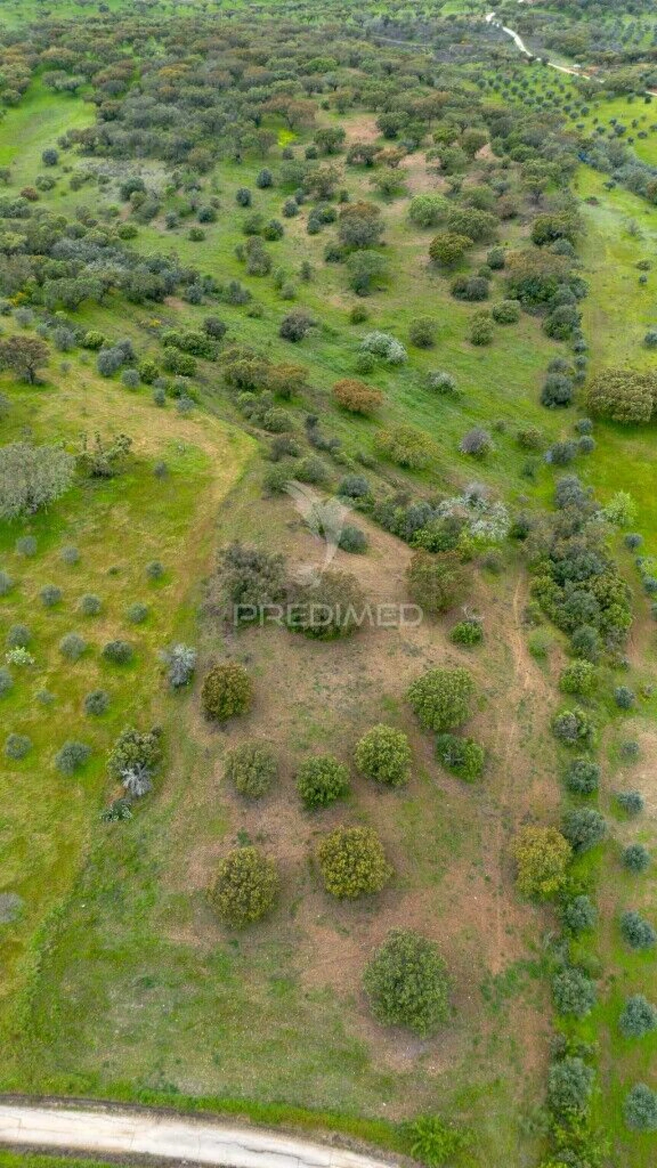 Terreno para Venda em Nossa Senhora da Conceição, São Brás dos Matos, Juromenha Foto 2