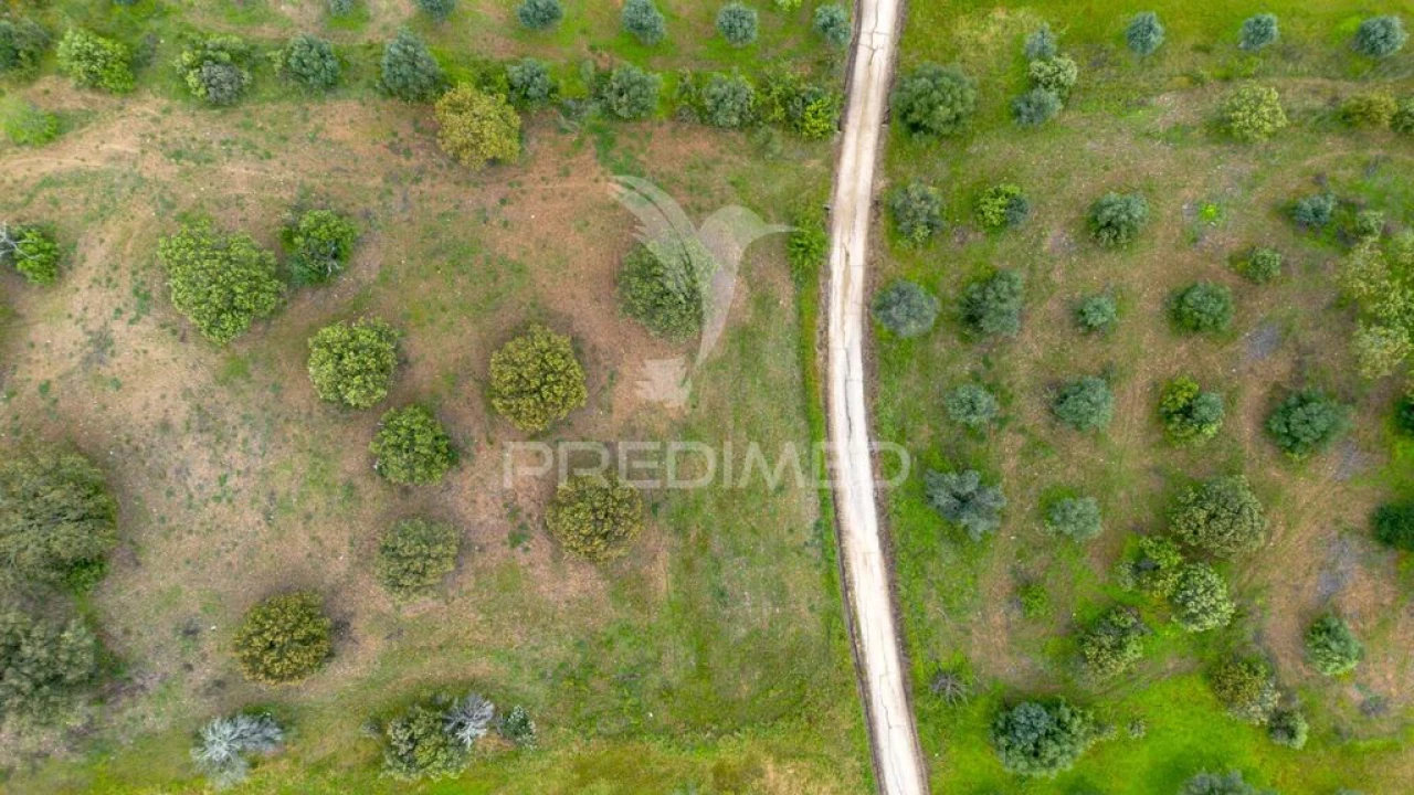 Terreno para Venda em Nossa Senhora da Conceição, São Brás dos Matos, Juromenha Foto 6