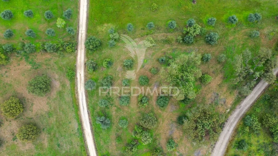 Terreno para Venda em Nossa Senhora da Conceição, São Brás dos Matos, Juromenha