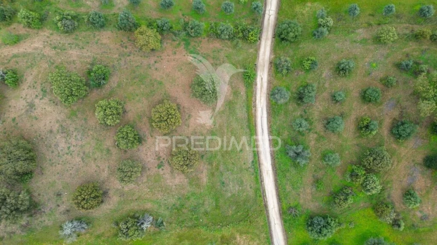Terreno para Venda em Nossa Senhora da Conceição, São Brás dos Matos, Juromenha Foto 3