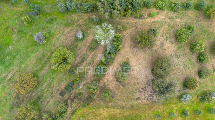 Terreno para Venda em Nossa Senhora da Conceição, São Brás dos Matos, Juromenha Foto 5