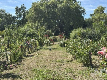 Terreno para Venda em Arneiro das Milhariças