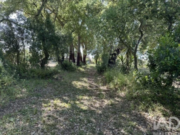 Terreno para Venda em Arneiro das Milhariças