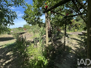 Terreno para Venda em Arneiro das Milhariças