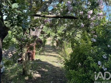 Terreno para Venda em Arneiro das Milhariças