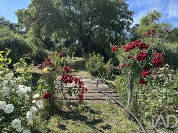 Terreno para Venda em Arneiro das Milhariças
