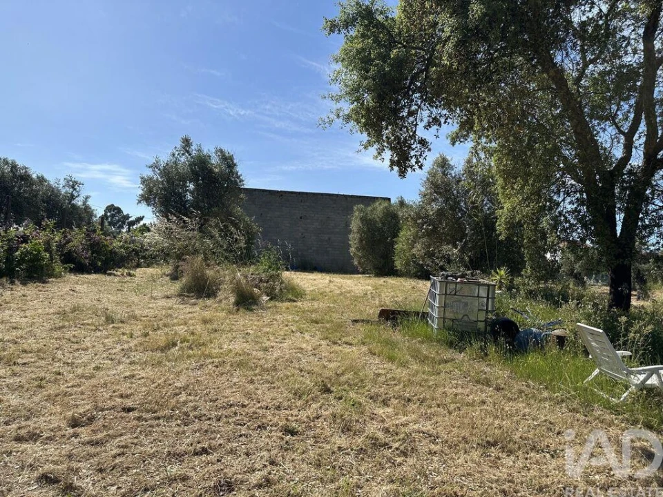 Terreno para Venda em Arneiro das Milhariças Foto 18