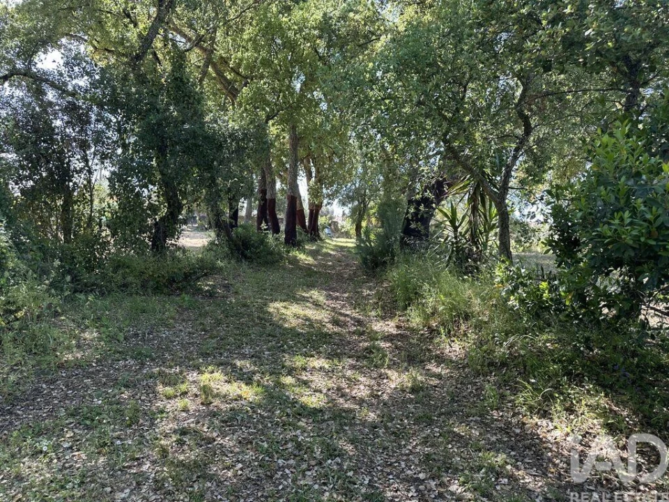 Terreno para Venda em Arneiro das Milhariças Foto 4