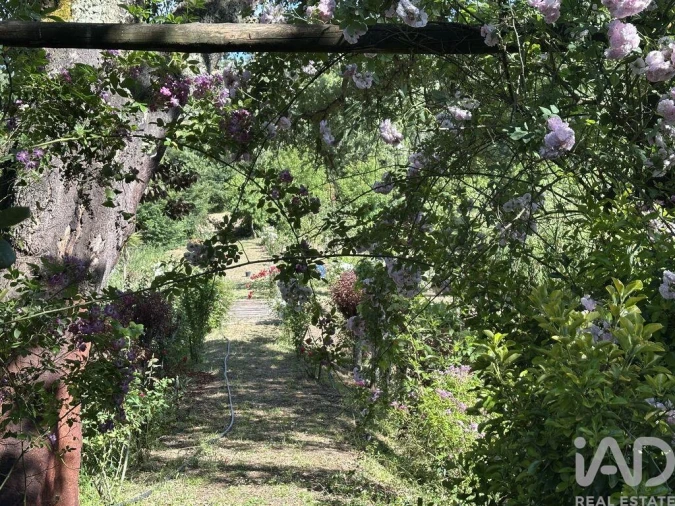 Terreno para Venda em Arneiro das Milhariças Foto 7