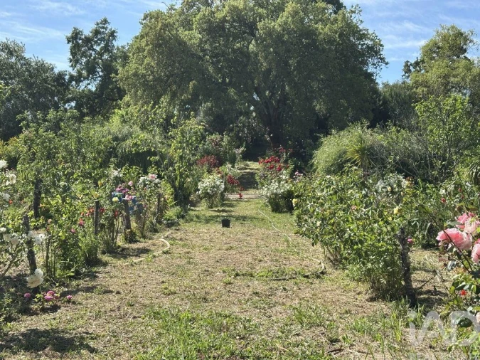Terreno para Venda em Arneiro das Milhariças Foto 21