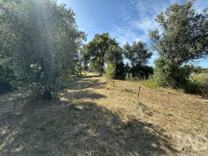 Terreno para Venda em Arneiro das Milhariças Foto 6