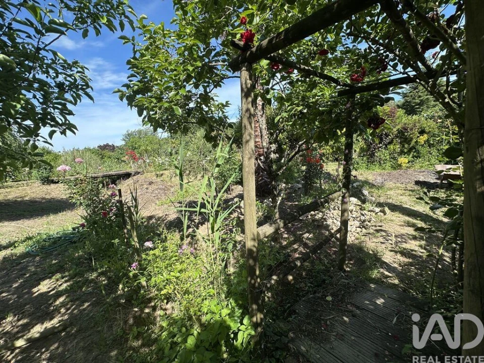Terreno para Venda em Arneiro das Milhariças Foto 16