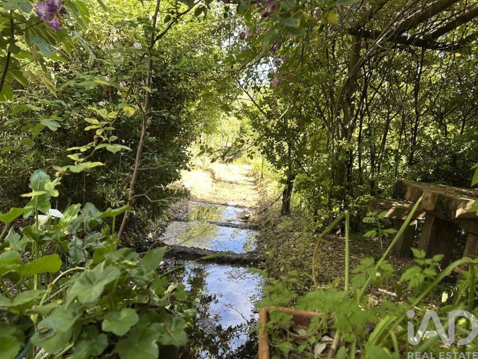 Terreno para Venda em Arneiro das Milhariças Foto 9