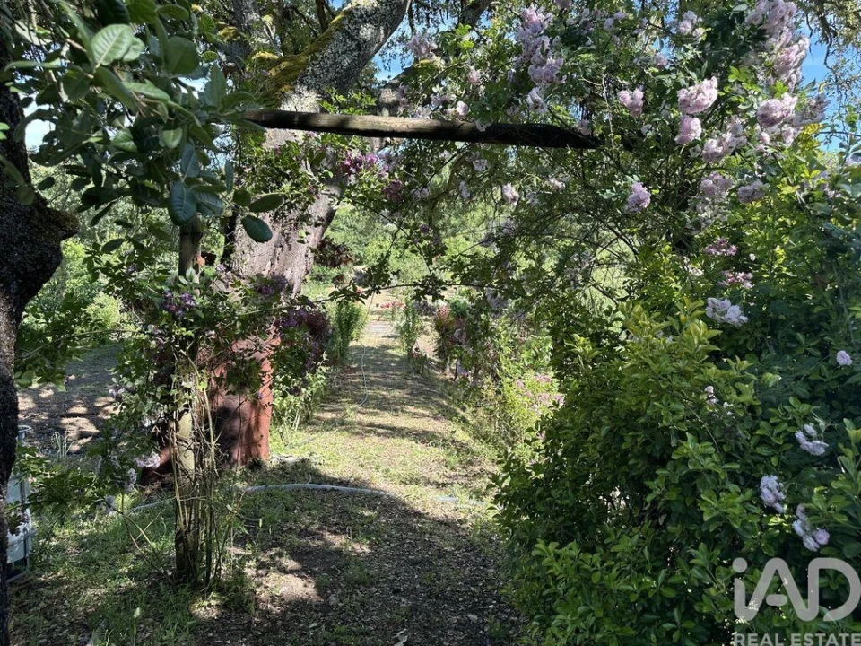 Terreno para Venda em Arneiro das Milhariças Foto 15
