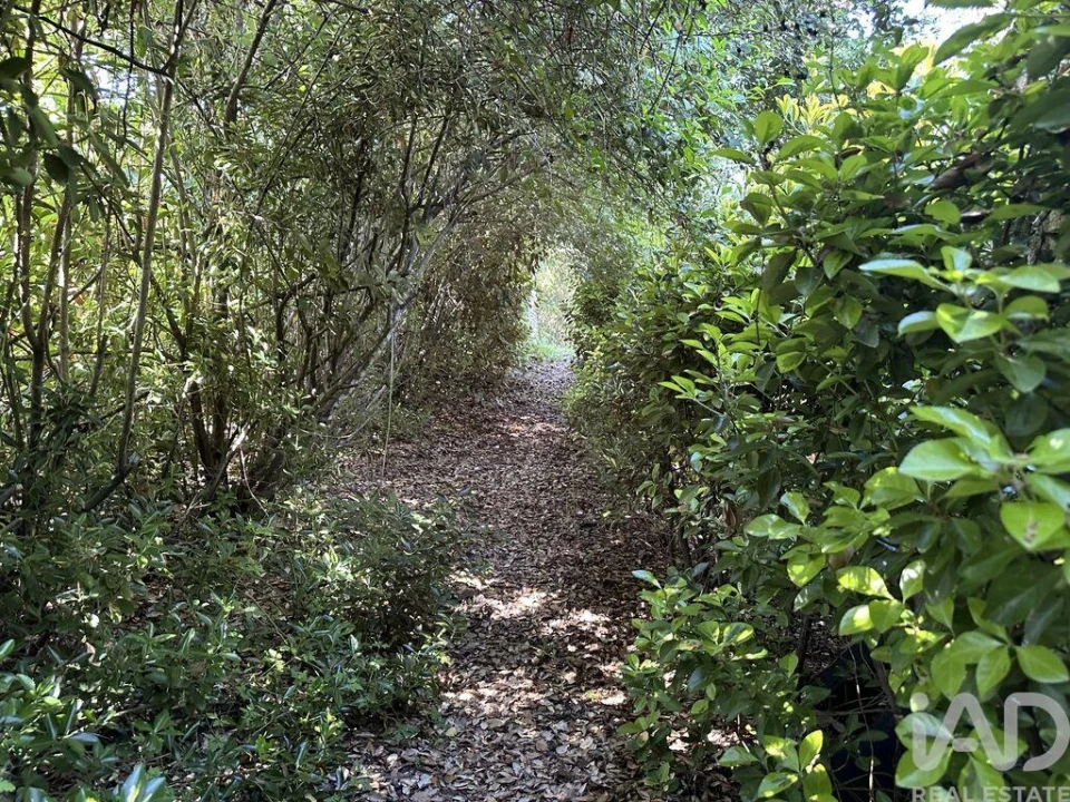 Terreno para Venda em Arneiro das Milhariças Foto 12