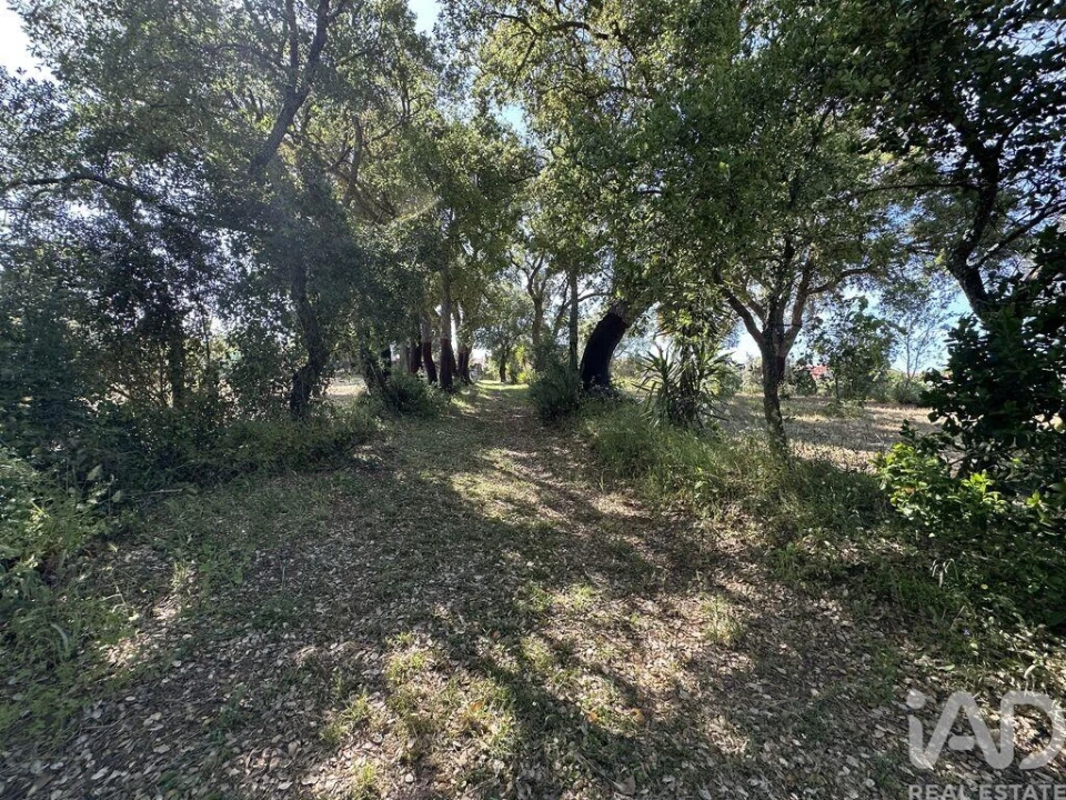 Terreno para Venda em Arneiro das Milhariças Foto 17