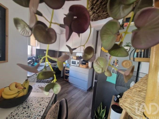 Apartamento T1 para Venda em Nossa Senhora do Pópulo, Coto e São Gregório Foto 11