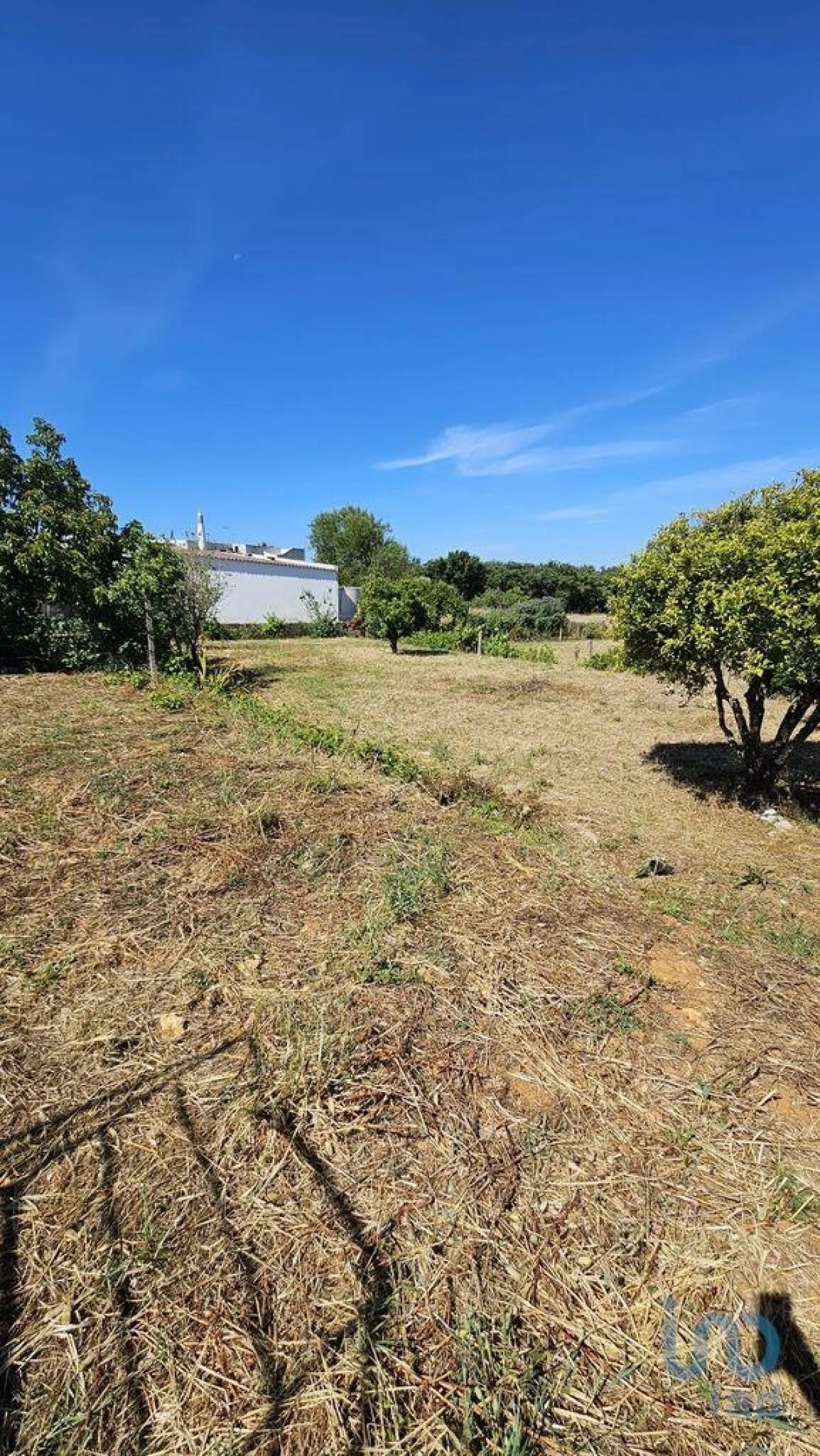 Terreno para Venda em Almancil Foto 6