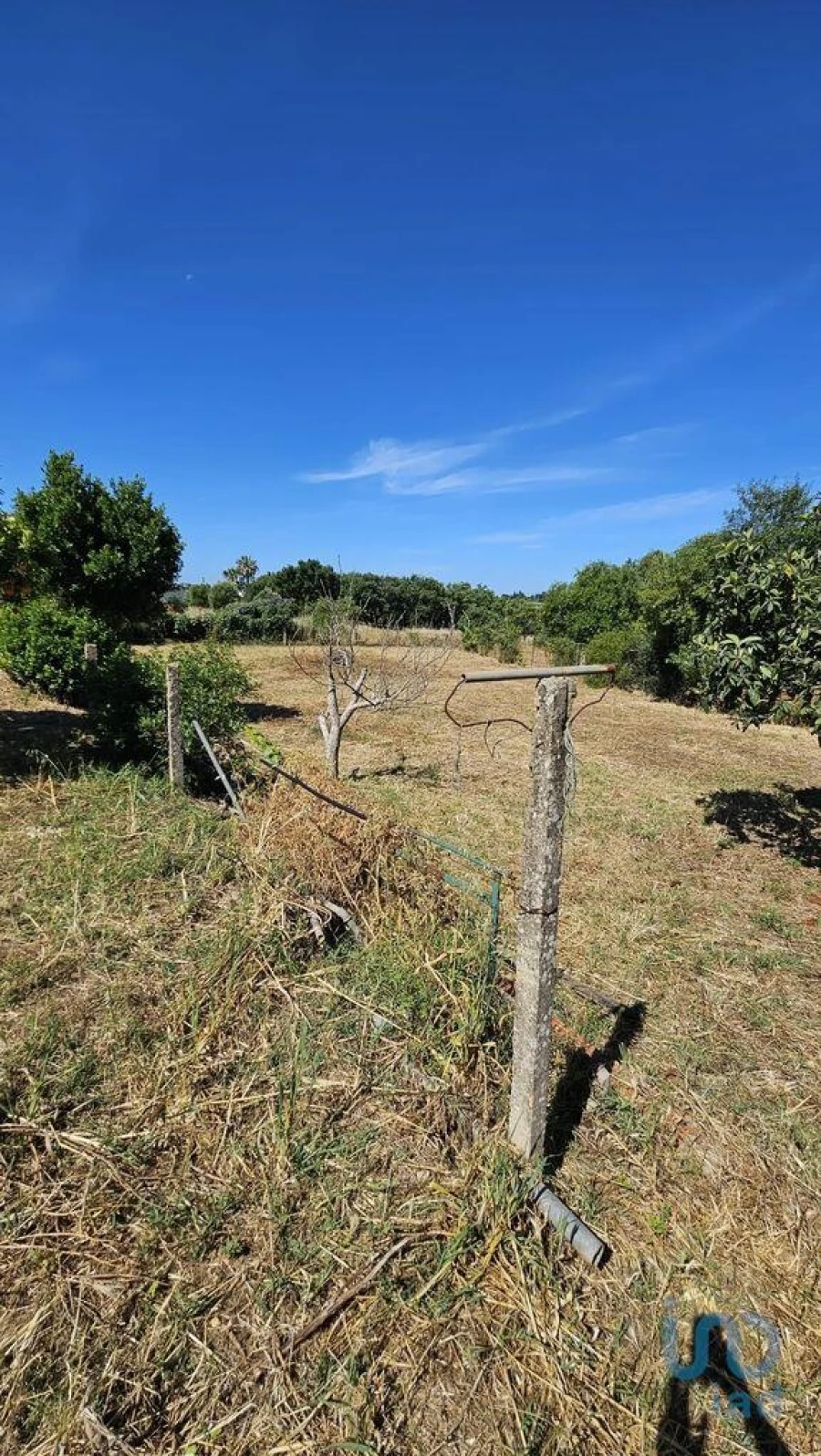 Terreno para Venda em Almancil Foto 5