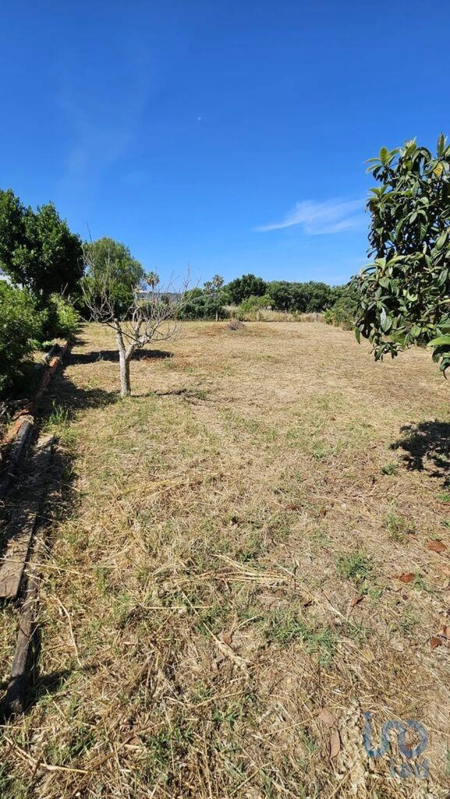 Terreno para Venda em Almancil Foto 2