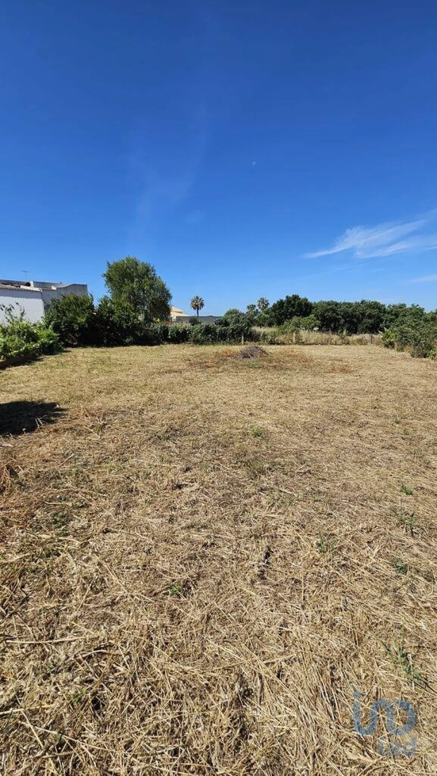 Terreno para Venda em Almancil Foto 4