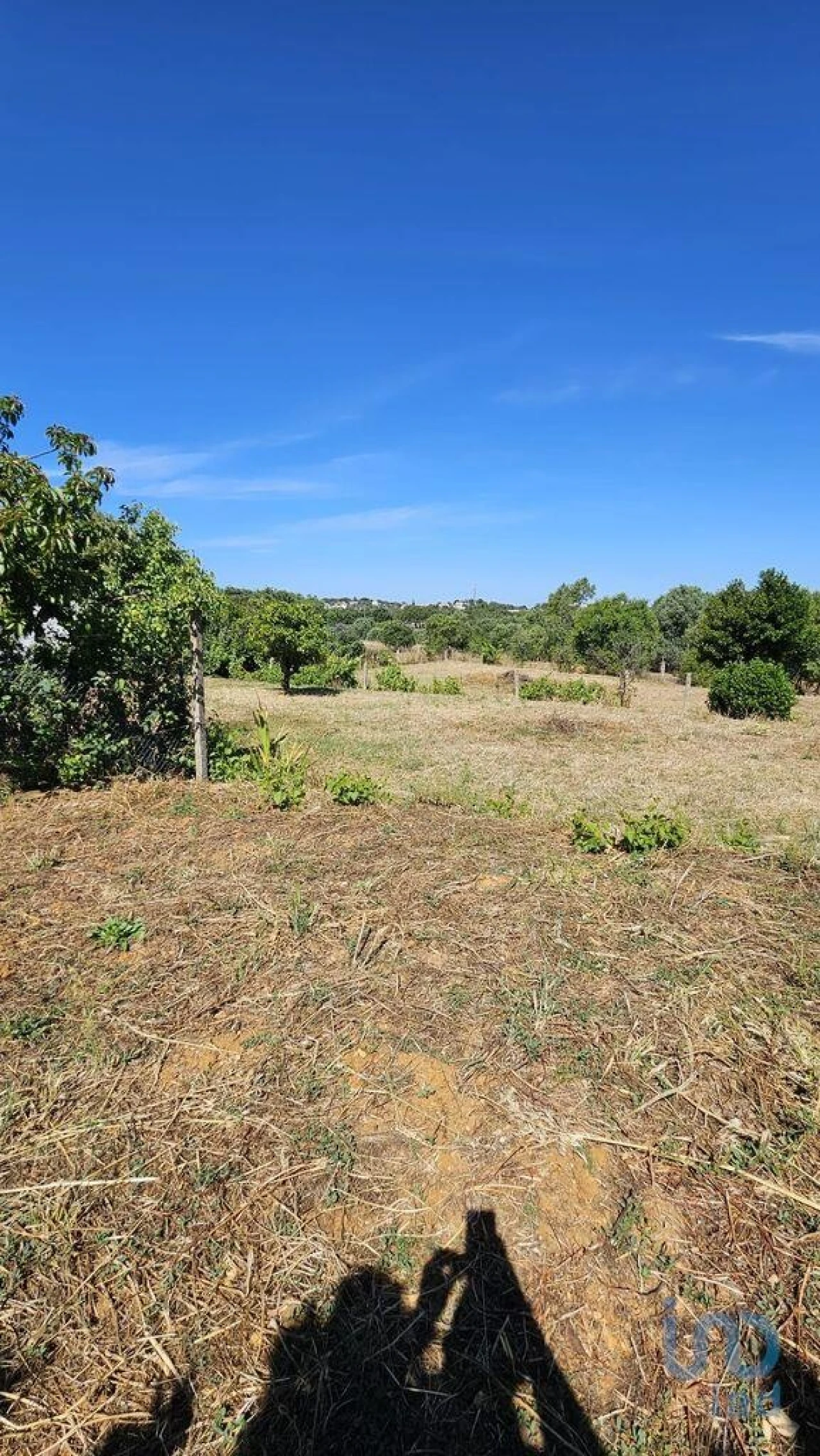 Terreno para Venda em Almancil Foto 7
