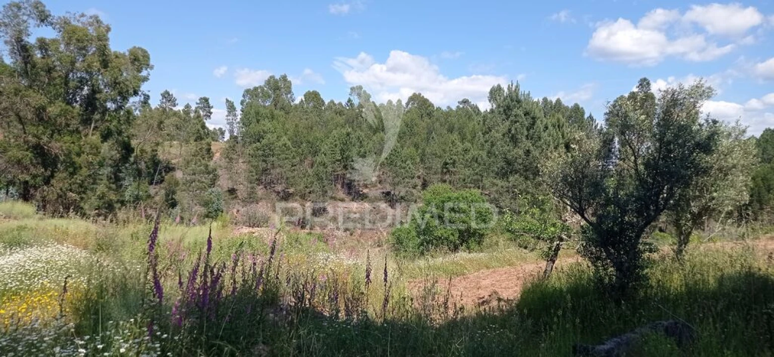 Quinta T2 para Venda em Mação, Penhascoso e Aboboreira Foto 3