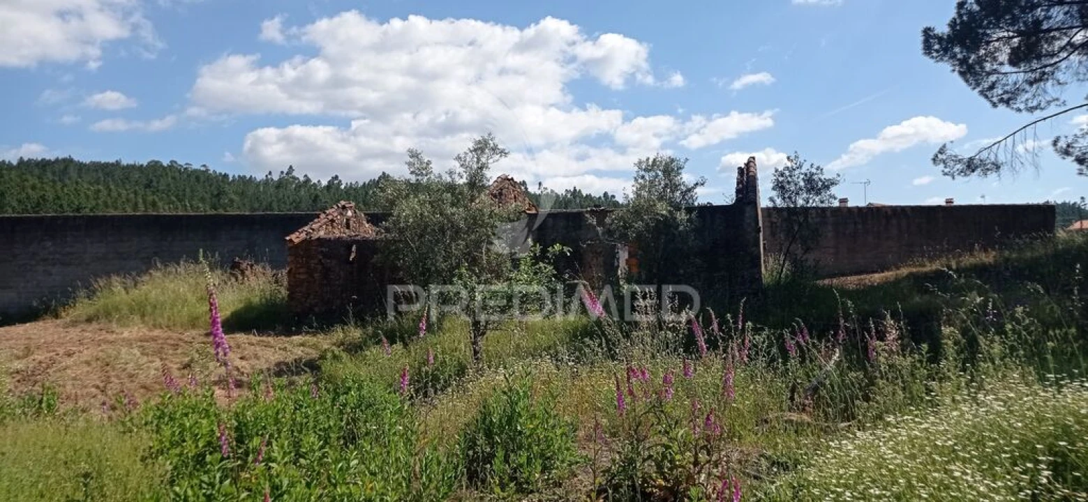 Quinta T2 para Venda em Mação, Penhascoso e Aboboreira Foto 5