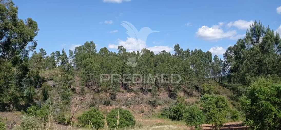 Quinta T2 para Venda em Mação, Penhascoso e Aboboreira Foto 7