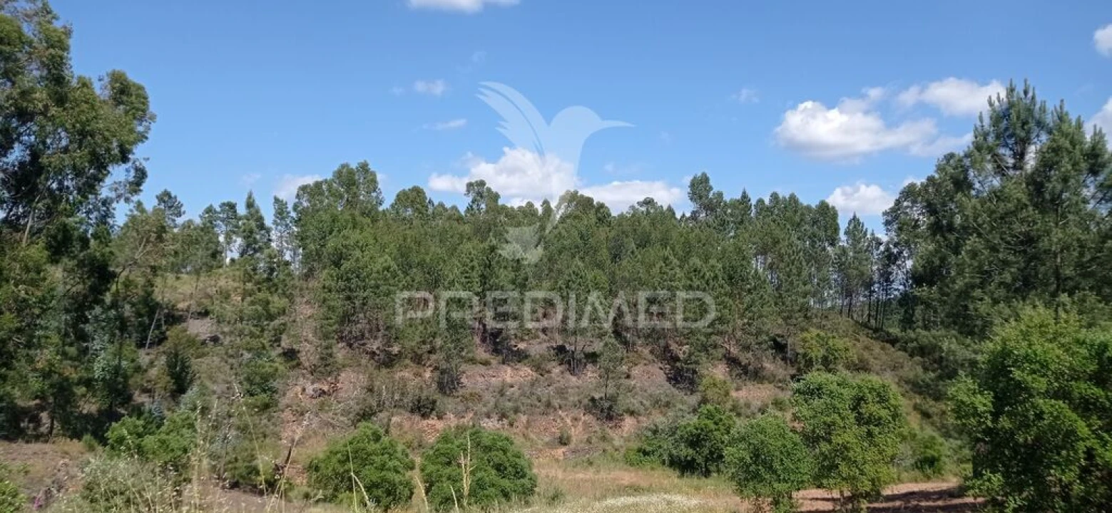 Quinta T2 para Venda em Mação, Penhascoso e Aboboreira Foto 7