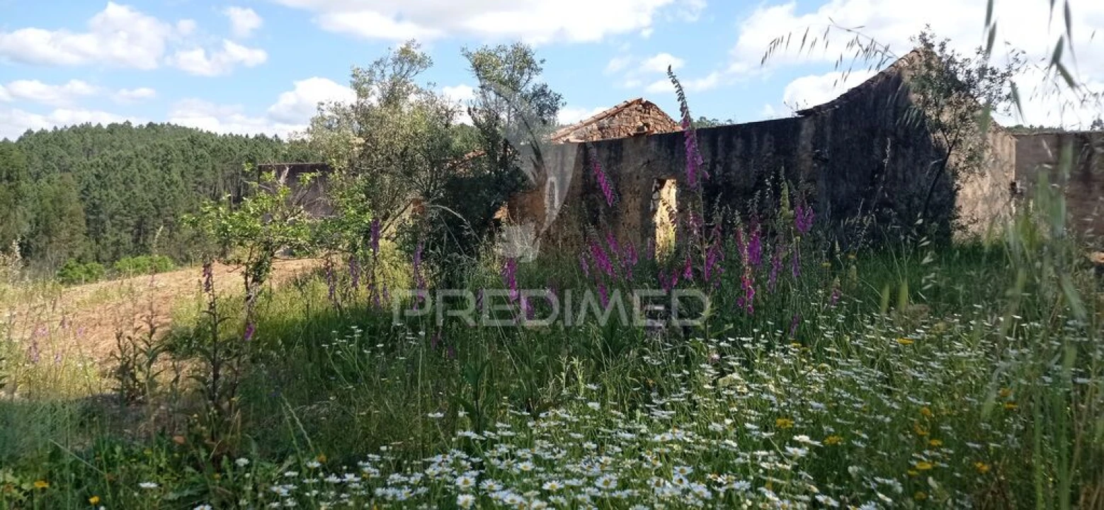 Quinta T2 para Venda em Mação, Penhascoso e Aboboreira Foto 4