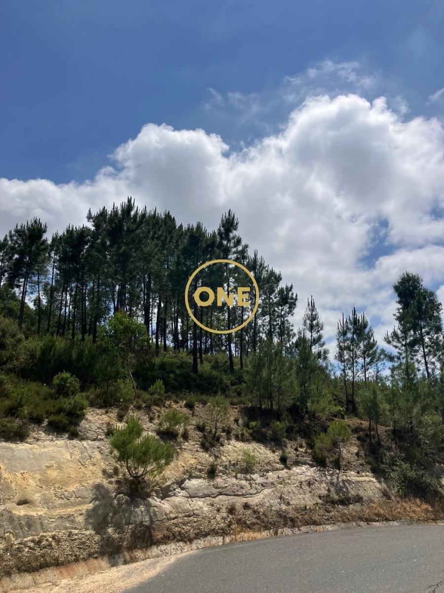 Terreno para Venda em Venda do Pinheiro e Santo Estêvão das Galés Foto 16