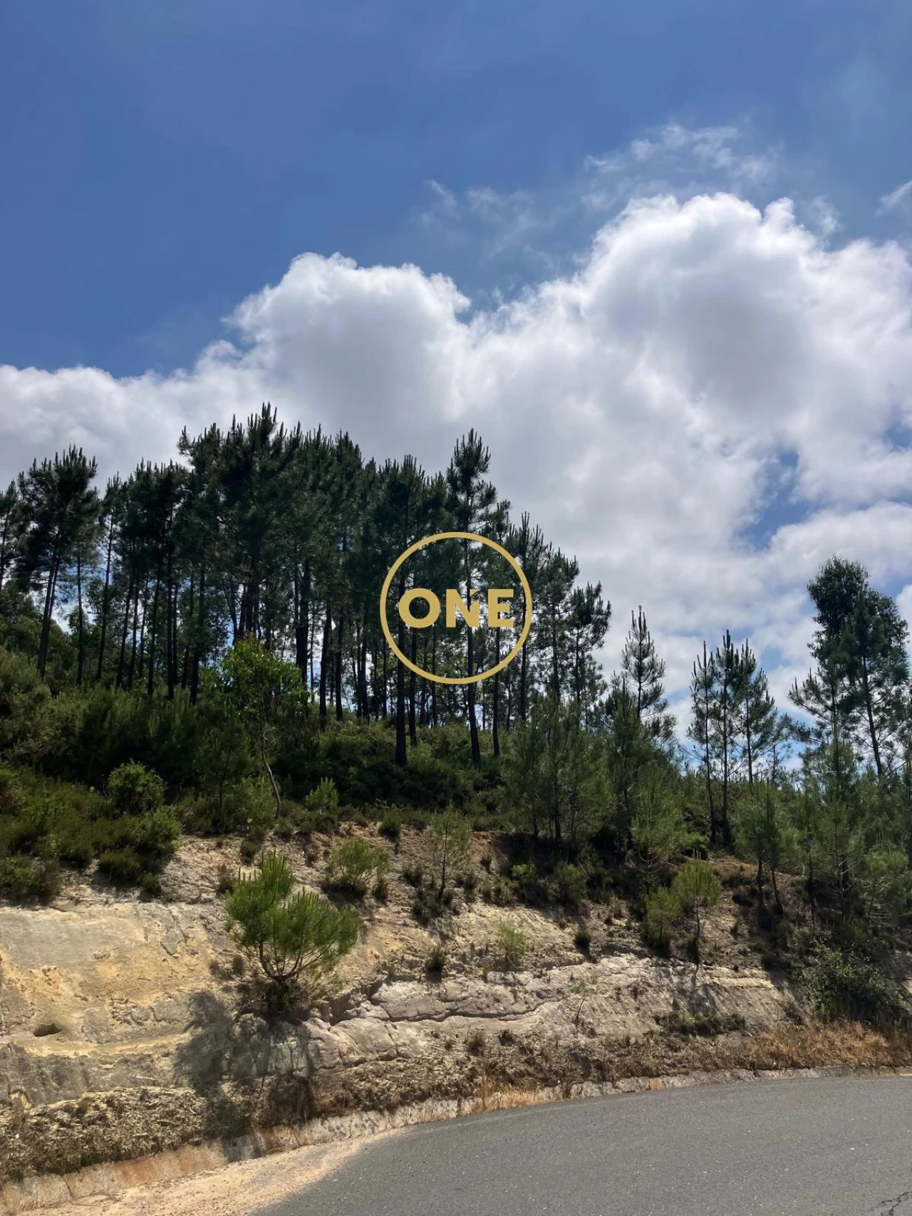 Terreno para Venda em Venda do Pinheiro e Santo Estêvão das Galés Foto 16