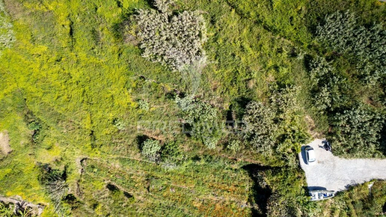 Terreno para Venda em Caniço Foto 6