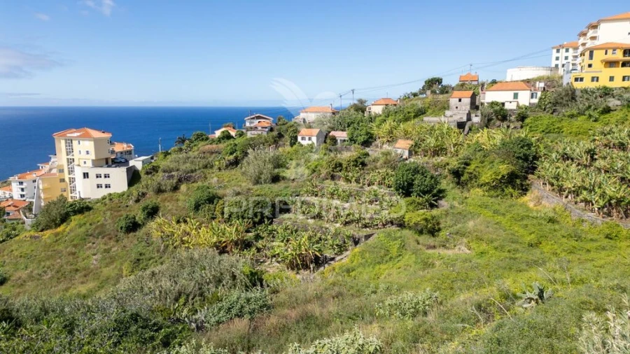 Terreno para Venda em Caniço Foto 20