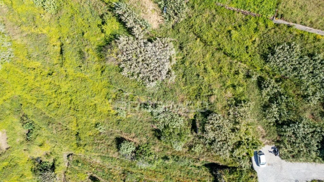 Terreno para Venda em Caniço Foto 9