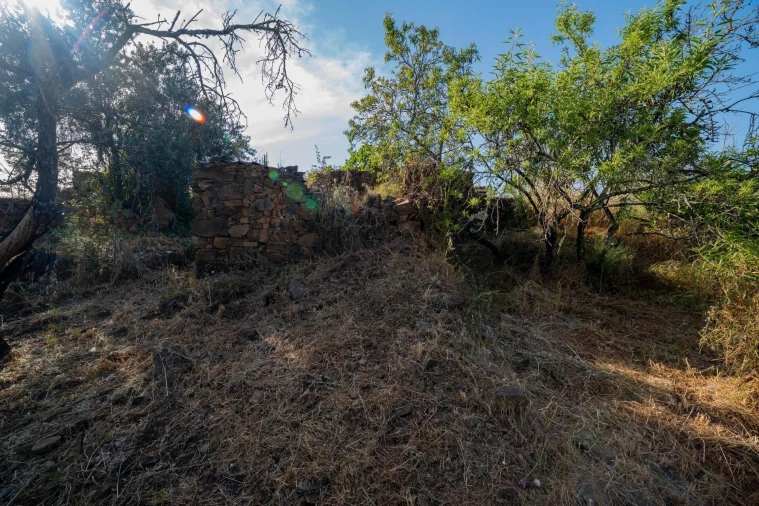 Terreno para Venda em Cachopo Foto 9