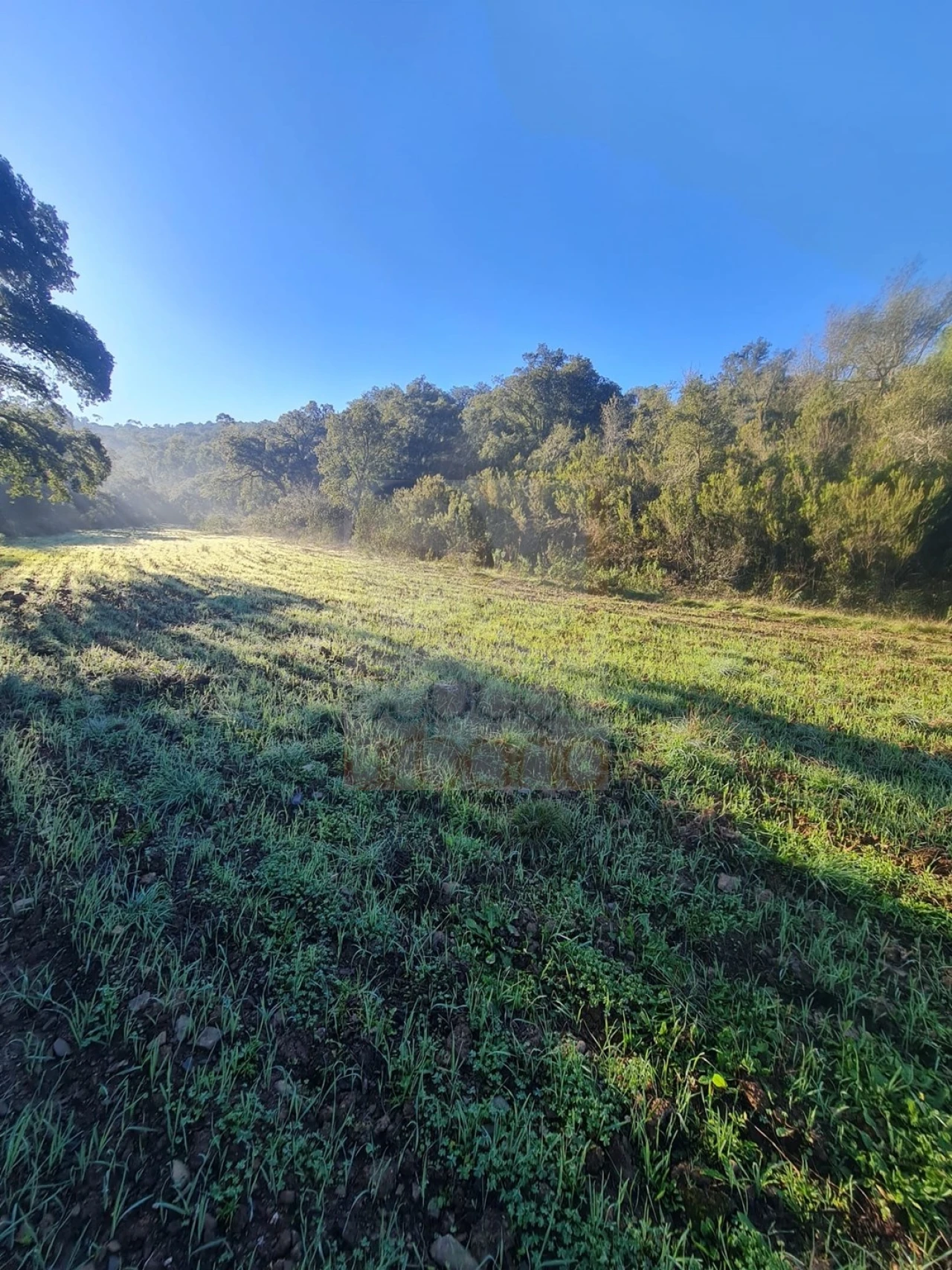 Terreno para Venda em São Bartolomeu de Messines Foto 12