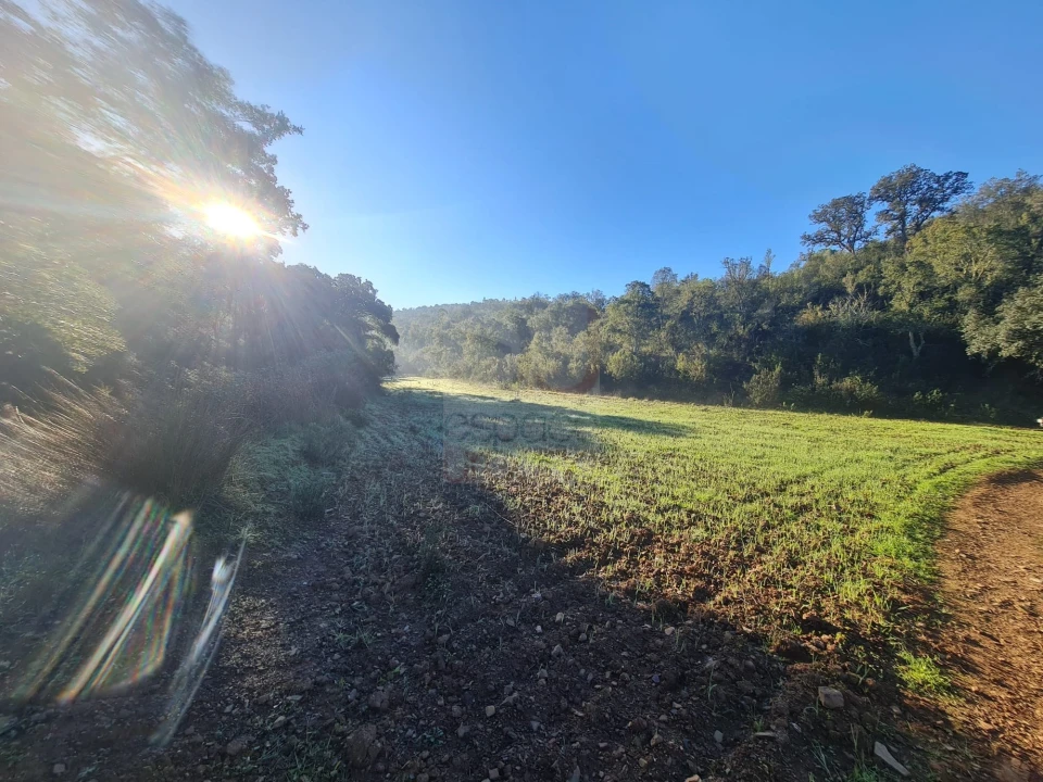 Terreno para Venda em São Bartolomeu de Messines Foto 2