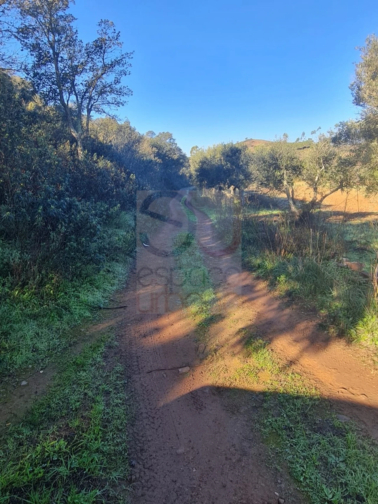 Terreno para Venda em São Bartolomeu de Messines Foto 20