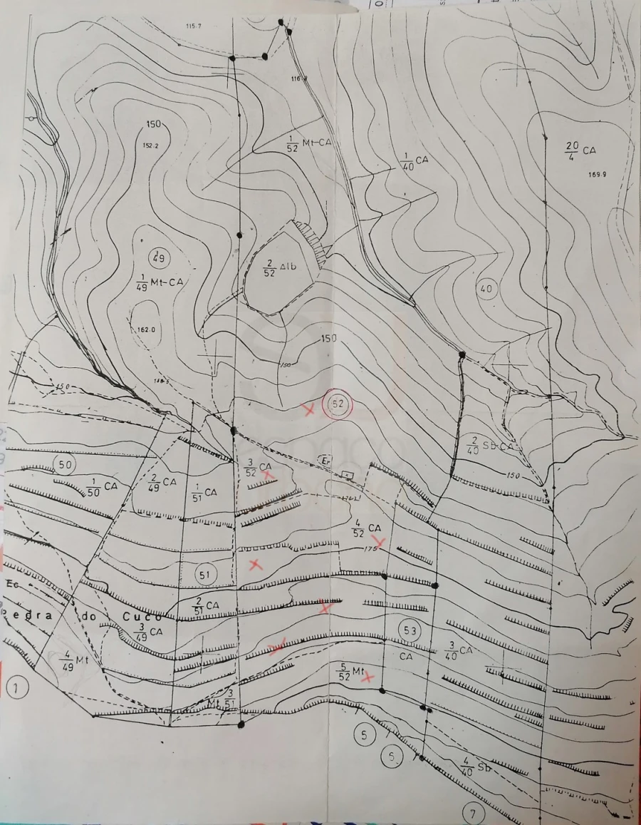 Terreno para Venda em São Bartolomeu de Messines Foto 26