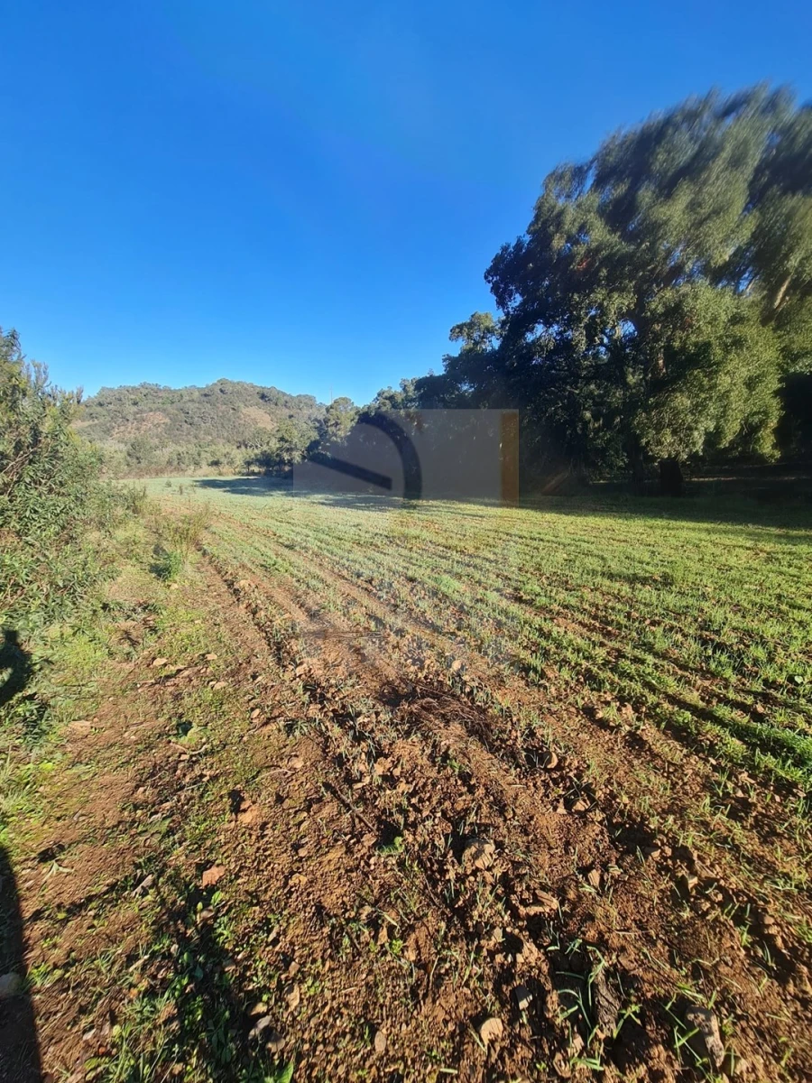 Terreno para Venda em São Bartolomeu de Messines Foto 10