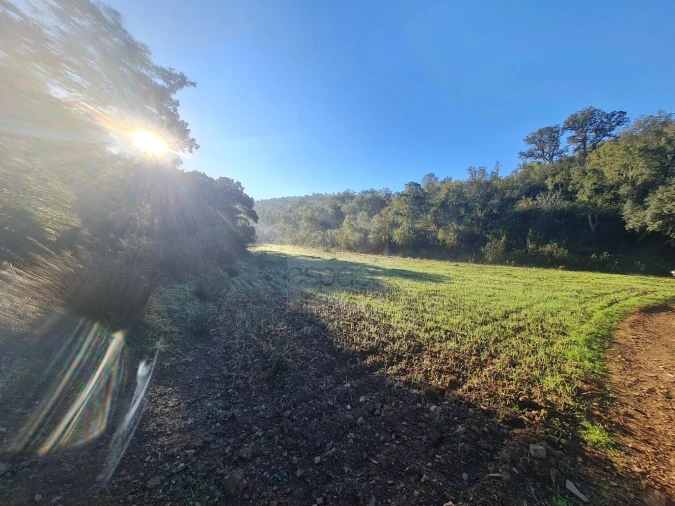 Terreno para Venda em São Bartolomeu de Messines Foto 2