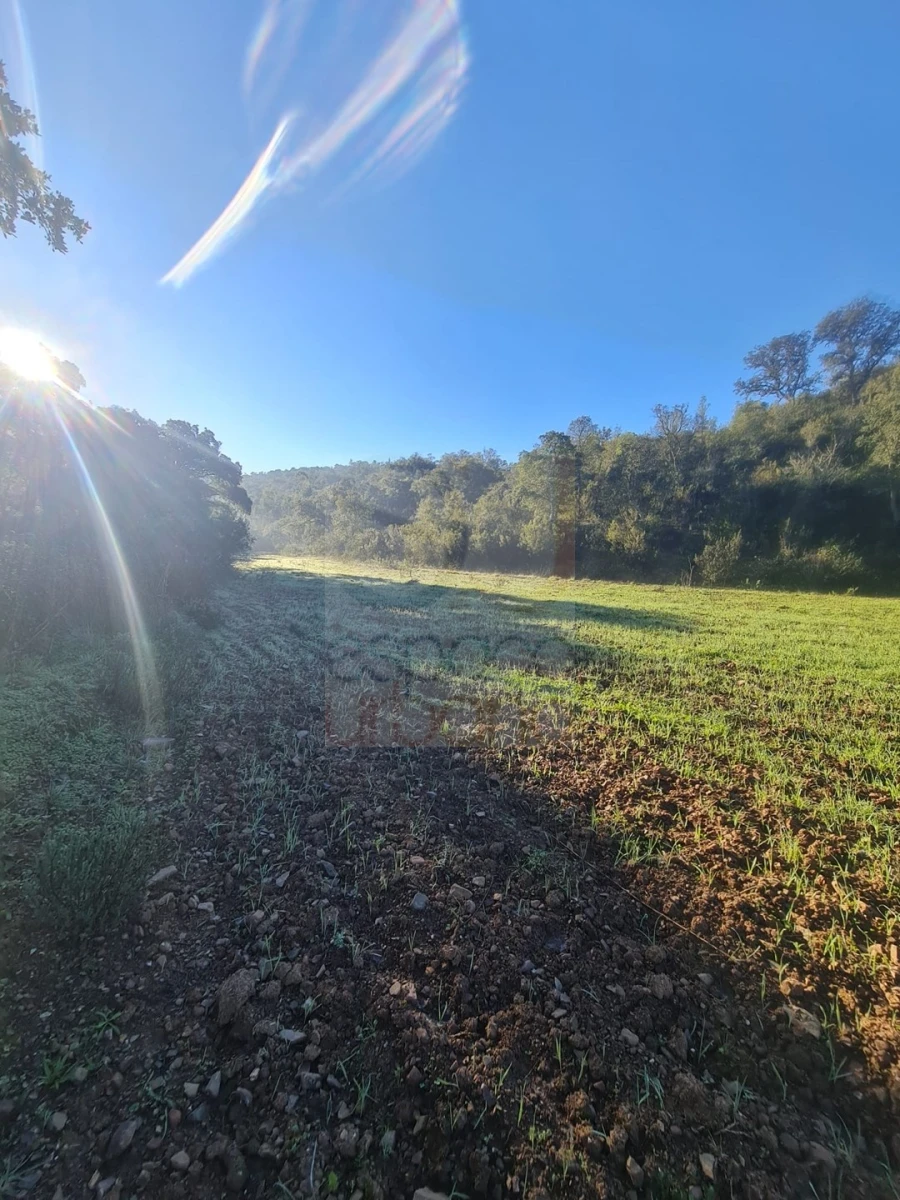 Terreno para Venda em São Bartolomeu de Messines Foto 3