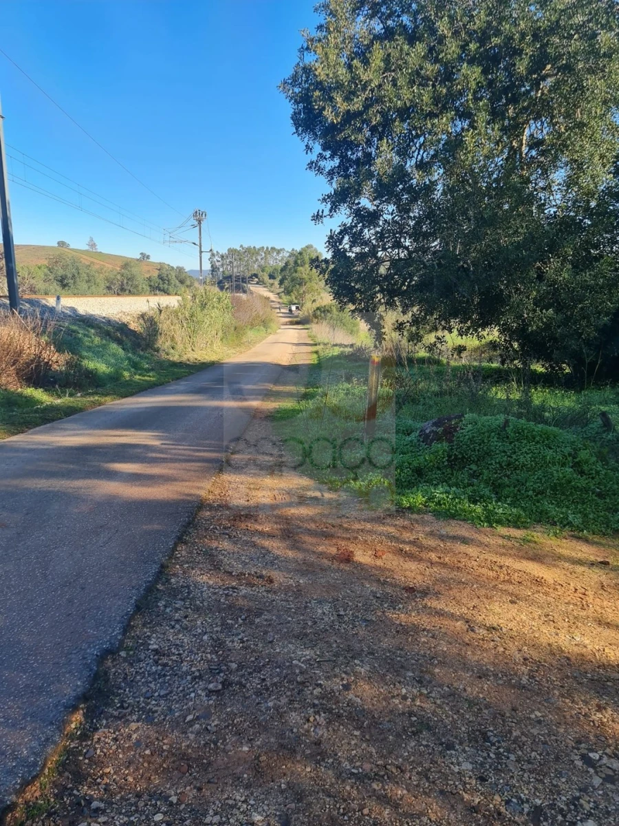 Terreno para Venda em São Bartolomeu de Messines Foto 24