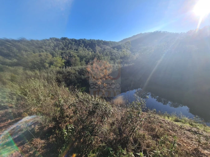 Terreno para Venda em São Bartolomeu de Messines Foto 15