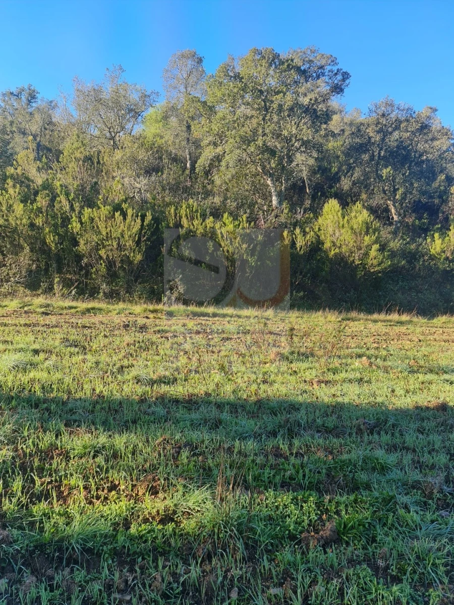 Terreno para Venda em São Bartolomeu de Messines Foto 8