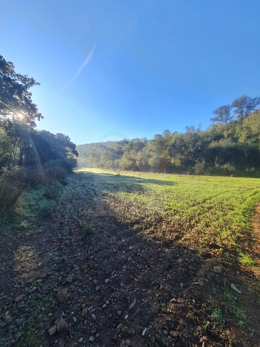Terreno para Venda em São Bartolomeu de Messines Foto 6