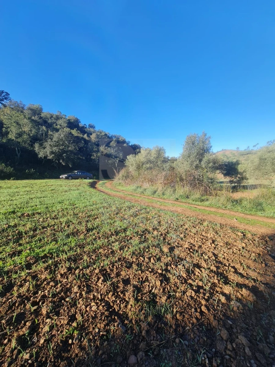 Terreno para Venda em São Bartolomeu de Messines Foto 7